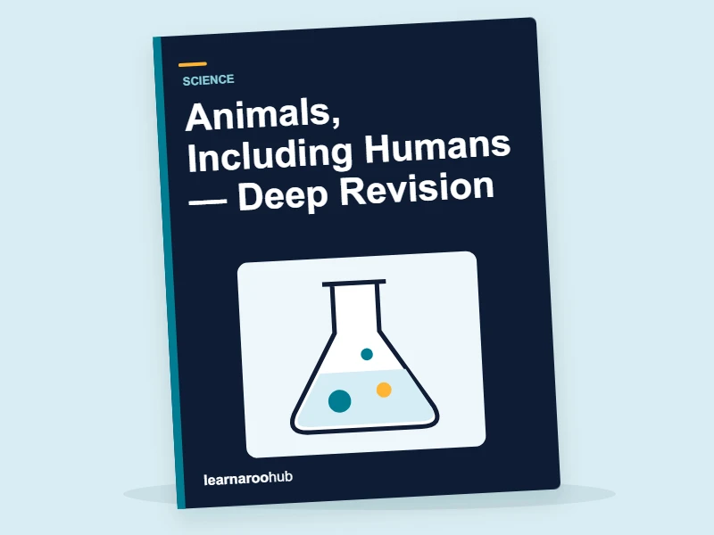 KS1 Science: Animals, Including Humans — Deep Revision — activity book cover