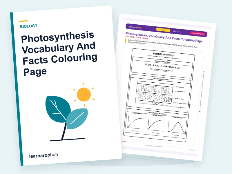Photosynthesis Vocabulary And Facts Colouring Page — colouring sheets cover
