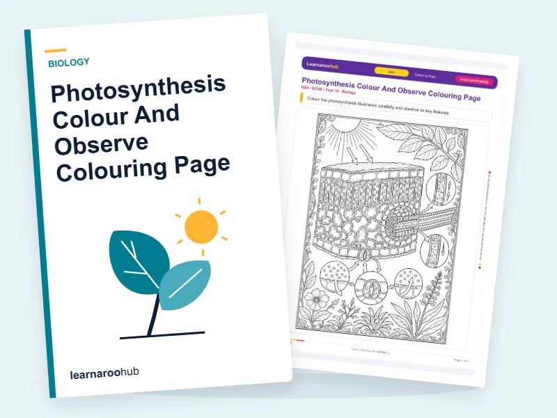 Photosynthesis Colour And Observe Colouring Page — colouring sheets cover
