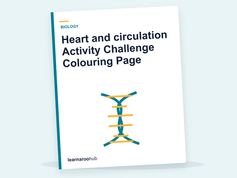 Heart and circulation Activity Challenge Colouring Page — colouring sheets cover
