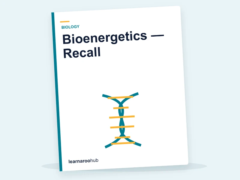 Bioenergetics — Recall — quiz cover