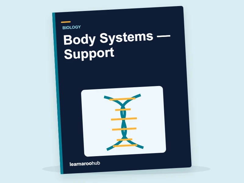 KS3 Biology: Body Systems — Support — activity book cover