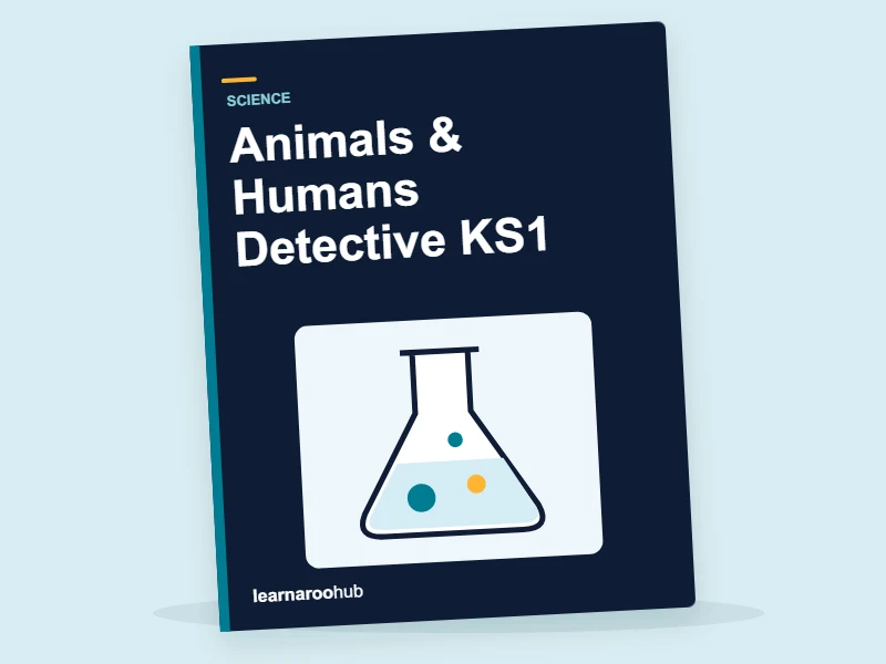 Animals & Humans Detective KS1 — activity book cover