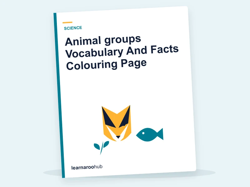 Animal groups Vocabulary And Facts Colouring Page — colouring sheets cover