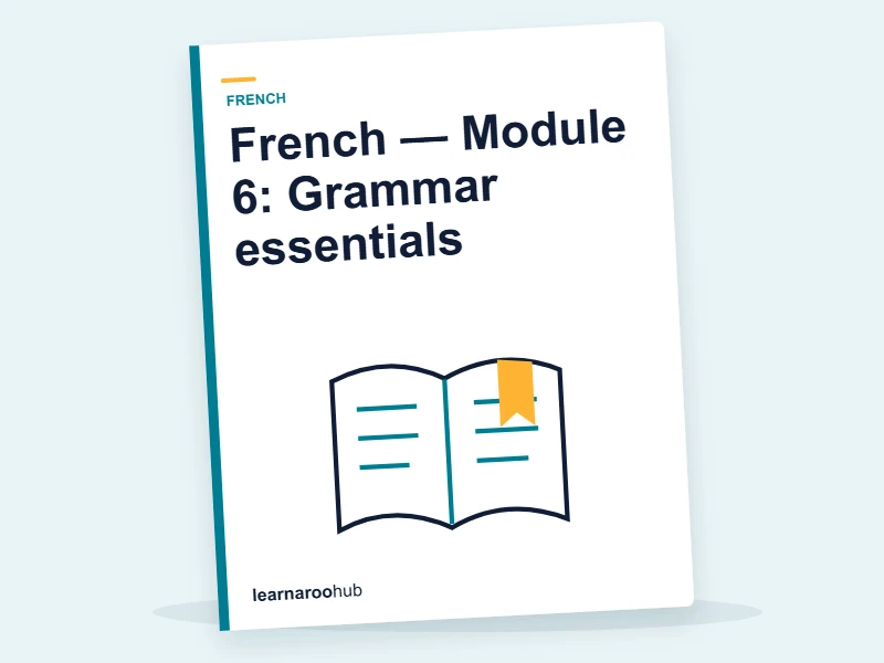 French — Module 6: Grammar essentials — e-learning module cover