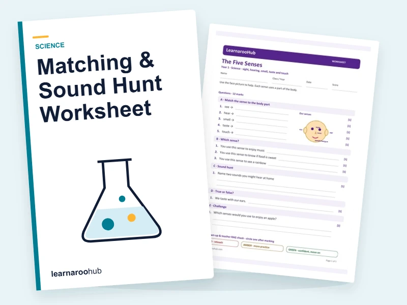 KS1 Senses: Matching & Sound Hunt Worksheet — printable / pdf cover