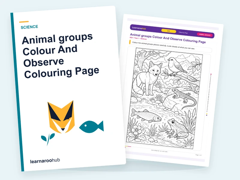 Animal groups Colour And Observe Colouring Page — colouring sheets cover