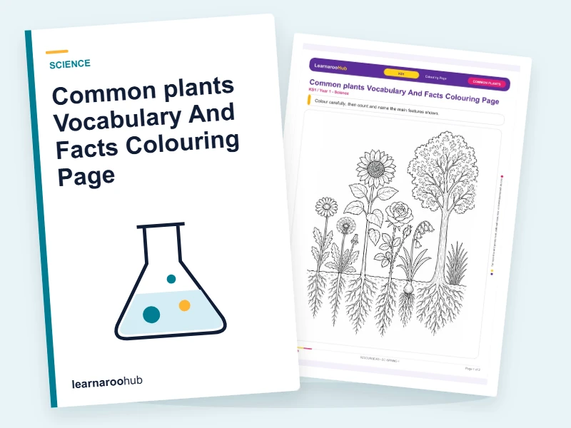 Common plants Vocabulary And Facts Colouring Page — colouring sheets cover
