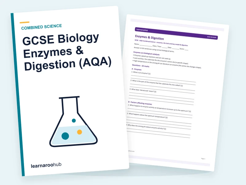 GCSE Biology Enzymes & Digestion (AQA) — printable / pdf cover