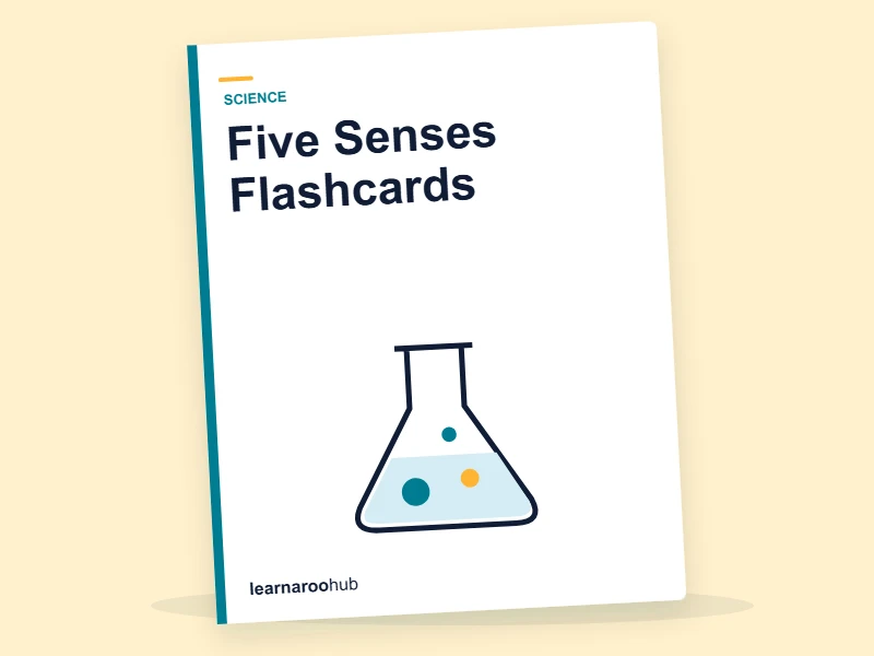 KS1 Senses: Five Senses Flashcards — flashcard deck cover