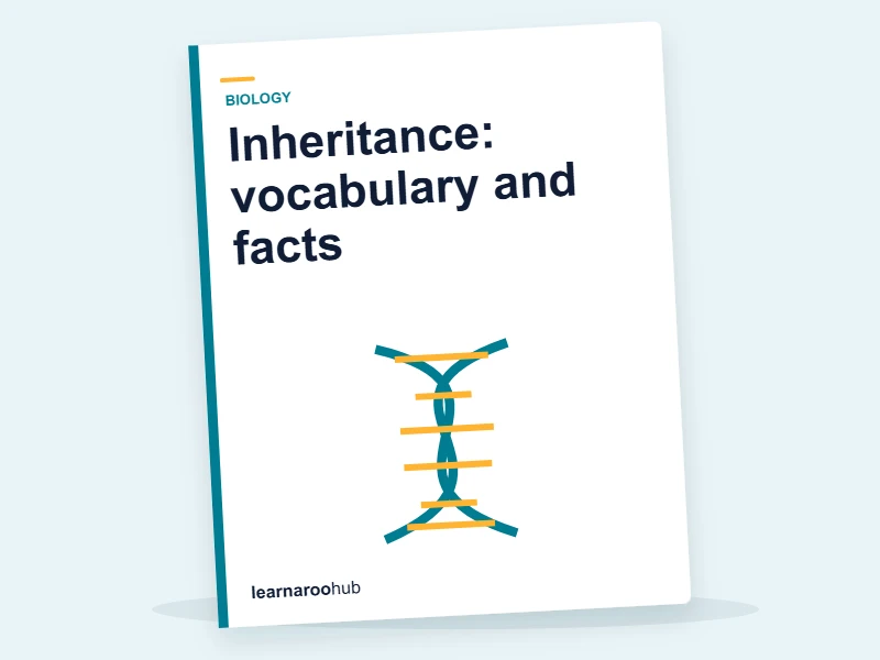 Inheritance: vocabulary and facts — colouring sheets cover