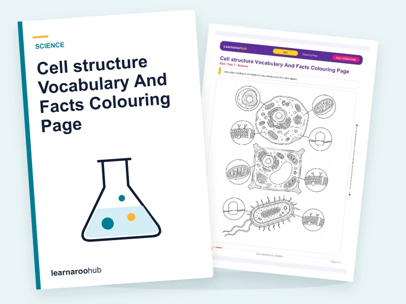 Cell structure Vocabulary And Facts Colouring Page — colouring sheets cover