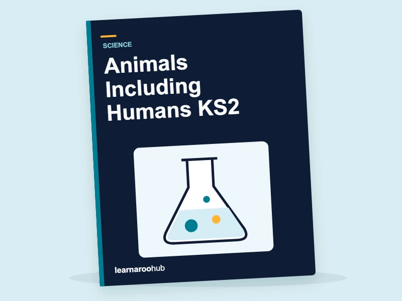 Animals Including Humans KS2 — activity book cover